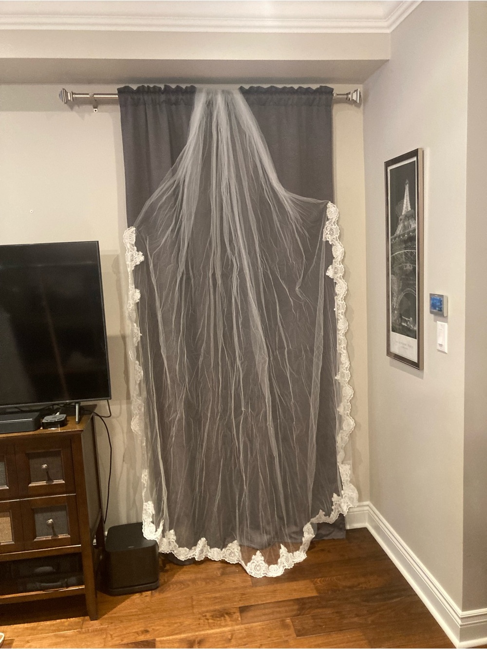 Cathedral length Veil Chantilly Lace-Edged Veil in Ivory